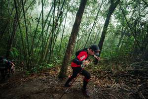 BIB: 
                            <button type="button" onclick="openModal(26524119)" class="btn btn-primary btn-sm float-right btn-popup" data-toggle="modal" data-target=".modal-high-quality">
                        <i class="fas fa-shopping-cart"></i> Add to Cart
                    </button>
                                            <button type="button" onclick="isThisMe(26524119, true)" class="btn btn-success btn-sm float-right btn-popup btn-isme hidden" data-toggle="tooltip" data-placement="bottom" title="นี่คือรูปของคุณใช่ไหม คลิกที่นี่เพื่อเอาเข้าอัลบั้ม">
                        <i class="fas fa-plus"></i> Add to album
                    </button>
                    <button type="button" onclick="isThisMe(26524119, false)" class="btn btn-warning btn-sm float-right btn-popup btn-isnotme hidden">
                        <i class="fas fa-ban"></i> Remove from album
                    </button>