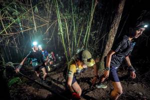 BIB: 
                            <button type="button" onclick="openModal(26517726)" class="btn btn-primary btn-sm float-right btn-popup" data-toggle="modal" data-target=".modal-high-quality">
                        <i class="fas fa-shopping-cart"></i> Add to Cart
                    </button>
                                            <button type="button" onclick="isThisMe(26517726, true)" class="btn btn-success btn-sm float-right btn-popup btn-isme hidden" data-toggle="tooltip" data-placement="bottom" title="นี่คือรูปของคุณใช่ไหม คลิกที่นี่เพื่อเอาเข้าอัลบั้ม">
                        <i class="fas fa-plus"></i> Add to album
                    </button>
                    <button type="button" onclick="isThisMe(26517726, false)" class="btn btn-warning btn-sm float-right btn-popup btn-isnotme hidden">
                        <i class="fas fa-ban"></i> Remove from album
                    </button>