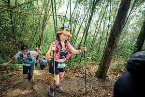 BIB: 
                            <button type="button" onclick="openModal(26507951)" class="btn btn-primary btn-sm float-right btn-popup" data-toggle="modal" data-target=".modal-high-quality">
                        <i class="fas fa-shopping-cart"></i> Add to Cart
                    </button>
                                            <button type="button" onclick="isThisMe(26507951, true)" class="btn btn-success btn-sm float-right btn-popup btn-isme hidden" data-toggle="tooltip" data-placement="bottom" title="นี่คือรูปของคุณใช่ไหม คลิกที่นี่เพื่อเอาเข้าอัลบั้ม">
                        <i class="fas fa-plus"></i> Add to album
                    </button>
                    <button type="button" onclick="isThisMe(26507951, false)" class="btn btn-warning btn-sm float-right btn-popup btn-isnotme hidden">
                        <i class="fas fa-ban"></i> Remove from album
                    </button>