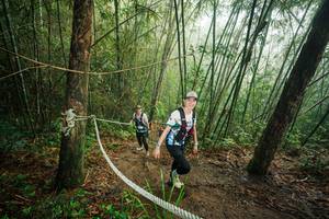 BIB: 
                            <button type="button" onclick="openModal(26524514)" class="btn btn-primary btn-sm float-right btn-popup" data-toggle="modal" data-target=".modal-high-quality">
                        <i class="fas fa-shopping-cart"></i> Add to Cart
                    </button>
                                            <button type="button" onclick="isThisMe(26524514, true)" class="btn btn-success btn-sm float-right btn-popup btn-isme hidden" data-toggle="tooltip" data-placement="bottom" title="นี่คือรูปของคุณใช่ไหม คลิกที่นี่เพื่อเอาเข้าอัลบั้ม">
                        <i class="fas fa-plus"></i> Add to album
                    </button>
                    <button type="button" onclick="isThisMe(26524514, false)" class="btn btn-warning btn-sm float-right btn-popup btn-isnotme hidden">
                        <i class="fas fa-ban"></i> Remove from album
                    </button>