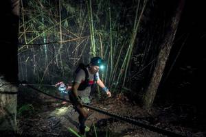 BIB: 
                            <button type="button" onclick="openModal(26516823)" class="btn btn-primary btn-sm float-right btn-popup" data-toggle="modal" data-target=".modal-high-quality">
                        <i class="fas fa-shopping-cart"></i> Add to Cart
                    </button>
                                            <button type="button" onclick="isThisMe(26516823, true)" class="btn btn-success btn-sm float-right btn-popup btn-isme hidden" data-toggle="tooltip" data-placement="bottom" title="นี่คือรูปของคุณใช่ไหม คลิกที่นี่เพื่อเอาเข้าอัลบั้ม">
                        <i class="fas fa-plus"></i> Add to album
                    </button>
                    <button type="button" onclick="isThisMe(26516823, false)" class="btn btn-warning btn-sm float-right btn-popup btn-isnotme hidden">
                        <i class="fas fa-ban"></i> Remove from album
                    </button>