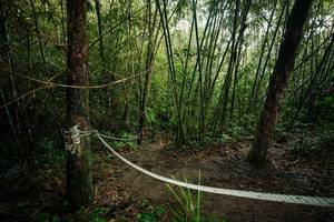 BIB: 
                            <button type="button" onclick="openModal(26523778)" class="btn btn-primary btn-sm float-right btn-popup" data-toggle="modal" data-target=".modal-high-quality">
                        <i class="fas fa-shopping-cart"></i> Add to Cart
                    </button>
                                            <button type="button" onclick="isThisMe(26523778, true)" class="btn btn-success btn-sm float-right btn-popup btn-isme hidden" data-toggle="tooltip" data-placement="bottom" title="นี่คือรูปของคุณใช่ไหม คลิกที่นี่เพื่อเอาเข้าอัลบั้ม">
                        <i class="fas fa-plus"></i> Add to album
                    </button>
                    <button type="button" onclick="isThisMe(26523778, false)" class="btn btn-warning btn-sm float-right btn-popup btn-isnotme hidden">
                        <i class="fas fa-ban"></i> Remove from album
                    </button>