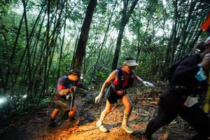 BIB: 
                            <button type="button" onclick="openModal(26523318)" class="btn btn-primary btn-sm float-right btn-popup" data-toggle="modal" data-target=".modal-high-quality">
                        <i class="fas fa-shopping-cart"></i> Add to Cart
                    </button>
                                            <button type="button" onclick="isThisMe(26523318, true)" class="btn btn-success btn-sm float-right btn-popup btn-isme hidden" data-toggle="tooltip" data-placement="bottom" title="นี่คือรูปของคุณใช่ไหม คลิกที่นี่เพื่อเอาเข้าอัลบั้ม">
                        <i class="fas fa-plus"></i> Add to album
                    </button>
                    <button type="button" onclick="isThisMe(26523318, false)" class="btn btn-warning btn-sm float-right btn-popup btn-isnotme hidden">
                        <i class="fas fa-ban"></i> Remove from album
                    </button>