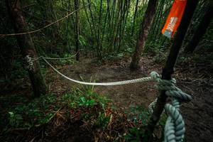 BIB: 
                            <button type="button" onclick="openModal(26523786)" class="btn btn-primary btn-sm float-right btn-popup" data-toggle="modal" data-target=".modal-high-quality">
                        <i class="fas fa-shopping-cart"></i> Add to Cart
                    </button>
                                            <button type="button" onclick="isThisMe(26523786, true)" class="btn btn-success btn-sm float-right btn-popup btn-isme hidden" data-toggle="tooltip" data-placement="bottom" title="นี่คือรูปของคุณใช่ไหม คลิกที่นี่เพื่อเอาเข้าอัลบั้ม">
                        <i class="fas fa-plus"></i> Add to album
                    </button>
                    <button type="button" onclick="isThisMe(26523786, false)" class="btn btn-warning btn-sm float-right btn-popup btn-isnotme hidden">
                        <i class="fas fa-ban"></i> Remove from album
                    </button>