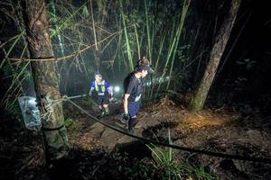 BIB: 
                            <button type="button" onclick="openModal(26518153)" class="btn btn-primary btn-sm float-right btn-popup" data-toggle="modal" data-target=".modal-high-quality">
                        <i class="fas fa-shopping-cart"></i> Add to Cart
                    </button>
                                            <button type="button" onclick="isThisMe(26518153, true)" class="btn btn-success btn-sm float-right btn-popup btn-isme hidden" data-toggle="tooltip" data-placement="bottom" title="นี่คือรูปของคุณใช่ไหม คลิกที่นี่เพื่อเอาเข้าอัลบั้ม">
                        <i class="fas fa-plus"></i> Add to album
                    </button>
                    <button type="button" onclick="isThisMe(26518153, false)" class="btn btn-warning btn-sm float-right btn-popup btn-isnotme hidden">
                        <i class="fas fa-ban"></i> Remove from album
                    </button>