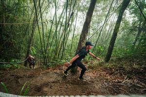 BIB: 
                            <button type="button" onclick="openModal(26523895)" class="btn btn-primary btn-sm float-right btn-popup" data-toggle="modal" data-target=".modal-high-quality">
                        <i class="fas fa-shopping-cart"></i> Add to Cart
                    </button>
                                            <button type="button" onclick="isThisMe(26523895, true)" class="btn btn-success btn-sm float-right btn-popup btn-isme hidden" data-toggle="tooltip" data-placement="bottom" title="นี่คือรูปของคุณใช่ไหม คลิกที่นี่เพื่อเอาเข้าอัลบั้ม">
                        <i class="fas fa-plus"></i> Add to album
                    </button>
                    <button type="button" onclick="isThisMe(26523895, false)" class="btn btn-warning btn-sm float-right btn-popup btn-isnotme hidden">
                        <i class="fas fa-ban"></i> Remove from album
                    </button>