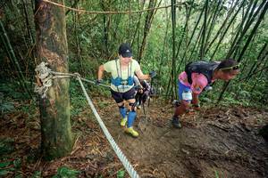 BIB: 
                            <button type="button" onclick="openModal(26507430)" class="btn btn-primary btn-sm float-right btn-popup" data-toggle="modal" data-target=".modal-high-quality">
                        <i class="fas fa-shopping-cart"></i> Add to Cart
                    </button>
                                            <button type="button" onclick="isThisMe(26507430, true)" class="btn btn-success btn-sm float-right btn-popup btn-isme hidden" data-toggle="tooltip" data-placement="bottom" title="นี่คือรูปของคุณใช่ไหม คลิกที่นี่เพื่อเอาเข้าอัลบั้ม">
                        <i class="fas fa-plus"></i> Add to album
                    </button>
                    <button type="button" onclick="isThisMe(26507430, false)" class="btn btn-warning btn-sm float-right btn-popup btn-isnotme hidden">
                        <i class="fas fa-ban"></i> Remove from album
                    </button>