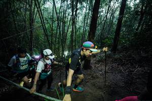 BIB: 
                            <button type="button" onclick="openModal(26523025)" class="btn btn-primary btn-sm float-right btn-popup" data-toggle="modal" data-target=".modal-high-quality">
                        <i class="fas fa-shopping-cart"></i> Add to Cart
                    </button>
                                            <button type="button" onclick="isThisMe(26523025, true)" class="btn btn-success btn-sm float-right btn-popup btn-isme hidden" data-toggle="tooltip" data-placement="bottom" title="นี่คือรูปของคุณใช่ไหม คลิกที่นี่เพื่อเอาเข้าอัลบั้ม">
                        <i class="fas fa-plus"></i> Add to album
                    </button>
                    <button type="button" onclick="isThisMe(26523025, false)" class="btn btn-warning btn-sm float-right btn-popup btn-isnotme hidden">
                        <i class="fas fa-ban"></i> Remove from album
                    </button>