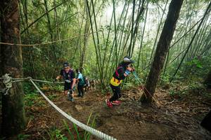 BIB: 
                            <button type="button" onclick="openModal(26524604)" class="btn btn-primary btn-sm float-right btn-popup" data-toggle="modal" data-target=".modal-high-quality">
                        <i class="fas fa-shopping-cart"></i> Add to Cart
                    </button>
                                            <button type="button" onclick="isThisMe(26524604, true)" class="btn btn-success btn-sm float-right btn-popup btn-isme hidden" data-toggle="tooltip" data-placement="bottom" title="นี่คือรูปของคุณใช่ไหม คลิกที่นี่เพื่อเอาเข้าอัลบั้ม">
                        <i class="fas fa-plus"></i> Add to album
                    </button>
                    <button type="button" onclick="isThisMe(26524604, false)" class="btn btn-warning btn-sm float-right btn-popup btn-isnotme hidden">
                        <i class="fas fa-ban"></i> Remove from album
                    </button>