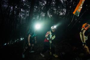 BIB: 
                            <button type="button" onclick="openModal(26519639)" class="btn btn-primary btn-sm float-right btn-popup" data-toggle="modal" data-target=".modal-high-quality">
                        <i class="fas fa-shopping-cart"></i> Add to Cart
                    </button>
                                            <button type="button" onclick="isThisMe(26519639, true)" class="btn btn-success btn-sm float-right btn-popup btn-isme hidden" data-toggle="tooltip" data-placement="bottom" title="นี่คือรูปของคุณใช่ไหม คลิกที่นี่เพื่อเอาเข้าอัลบั้ม">
                        <i class="fas fa-plus"></i> Add to album
                    </button>
                    <button type="button" onclick="isThisMe(26519639, false)" class="btn btn-warning btn-sm float-right btn-popup btn-isnotme hidden">
                        <i class="fas fa-ban"></i> Remove from album
                    </button>