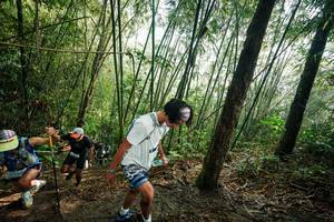 BIB: 
                            <button type="button" onclick="openModal(26524953)" class="btn btn-primary btn-sm float-right btn-popup" data-toggle="modal" data-target=".modal-high-quality">
                        <i class="fas fa-shopping-cart"></i> Add to Cart
                    </button>
                                            <button type="button" onclick="isThisMe(26524953, true)" class="btn btn-success btn-sm float-right btn-popup btn-isme hidden" data-toggle="tooltip" data-placement="bottom" title="นี่คือรูปของคุณใช่ไหม คลิกที่นี่เพื่อเอาเข้าอัลบั้ม">
                        <i class="fas fa-plus"></i> Add to album
                    </button>
                    <button type="button" onclick="isThisMe(26524953, false)" class="btn btn-warning btn-sm float-right btn-popup btn-isnotme hidden">
                        <i class="fas fa-ban"></i> Remove from album
                    </button>