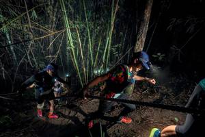 BIB: 
                            <button type="button" onclick="openModal(26517549)" class="btn btn-primary btn-sm float-right btn-popup" data-toggle="modal" data-target=".modal-high-quality">
                        <i class="fas fa-shopping-cart"></i> Add to Cart
                    </button>
                                            <button type="button" onclick="isThisMe(26517549, true)" class="btn btn-success btn-sm float-right btn-popup btn-isme hidden" data-toggle="tooltip" data-placement="bottom" title="นี่คือรูปของคุณใช่ไหม คลิกที่นี่เพื่อเอาเข้าอัลบั้ม">
                        <i class="fas fa-plus"></i> Add to album
                    </button>
                    <button type="button" onclick="isThisMe(26517549, false)" class="btn btn-warning btn-sm float-right btn-popup btn-isnotme hidden">
                        <i class="fas fa-ban"></i> Remove from album
                    </button>