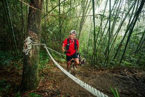 BIB: 
                            <button type="button" onclick="openModal(26524666)" class="btn btn-primary btn-sm float-right btn-popup" data-toggle="modal" data-target=".modal-high-quality">
                        <i class="fas fa-shopping-cart"></i> Add to Cart
                    </button>
                                            <button type="button" onclick="isThisMe(26524666, true)" class="btn btn-success btn-sm float-right btn-popup btn-isme hidden" data-toggle="tooltip" data-placement="bottom" title="นี่คือรูปของคุณใช่ไหม คลิกที่นี่เพื่อเอาเข้าอัลบั้ม">
                        <i class="fas fa-plus"></i> Add to album
                    </button>
                    <button type="button" onclick="isThisMe(26524666, false)" class="btn btn-warning btn-sm float-right btn-popup btn-isnotme hidden">
                        <i class="fas fa-ban"></i> Remove from album
                    </button>