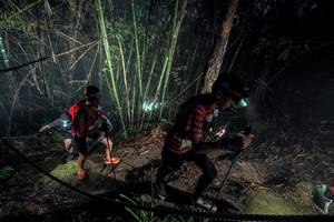 BIB: 
                            <button type="button" onclick="openModal(26519089)" class="btn btn-primary btn-sm float-right btn-popup" data-toggle="modal" data-target=".modal-high-quality">
                        <i class="fas fa-shopping-cart"></i> Add to Cart
                    </button>
                                            <button type="button" onclick="isThisMe(26519089, true)" class="btn btn-success btn-sm float-right btn-popup btn-isme hidden" data-toggle="tooltip" data-placement="bottom" title="นี่คือรูปของคุณใช่ไหม คลิกที่นี่เพื่อเอาเข้าอัลบั้ม">
                        <i class="fas fa-plus"></i> Add to album
                    </button>
                    <button type="button" onclick="isThisMe(26519089, false)" class="btn btn-warning btn-sm float-right btn-popup btn-isnotme hidden">
                        <i class="fas fa-ban"></i> Remove from album
                    </button>