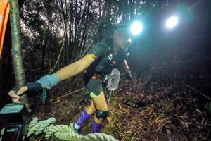 BIB: 
                            <button type="button" onclick="openModal(26519774)" class="btn btn-primary btn-sm float-right btn-popup" data-toggle="modal" data-target=".modal-high-quality">
                        <i class="fas fa-shopping-cart"></i> Add to Cart
                    </button>
                                            <button type="button" onclick="isThisMe(26519774, true)" class="btn btn-success btn-sm float-right btn-popup btn-isme hidden" data-toggle="tooltip" data-placement="bottom" title="นี่คือรูปของคุณใช่ไหม คลิกที่นี่เพื่อเอาเข้าอัลบั้ม">
                        <i class="fas fa-plus"></i> Add to album
                    </button>
                    <button type="button" onclick="isThisMe(26519774, false)" class="btn btn-warning btn-sm float-right btn-popup btn-isnotme hidden">
                        <i class="fas fa-ban"></i> Remove from album
                    </button>