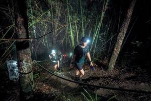 BIB: 
                            <button type="button" onclick="openModal(26517782)" class="btn btn-primary btn-sm float-right btn-popup" data-toggle="modal" data-target=".modal-high-quality">
                        <i class="fas fa-shopping-cart"></i> Add to Cart
                    </button>
                                            <button type="button" onclick="isThisMe(26517782, true)" class="btn btn-success btn-sm float-right btn-popup btn-isme hidden" data-toggle="tooltip" data-placement="bottom" title="นี่คือรูปของคุณใช่ไหม คลิกที่นี่เพื่อเอาเข้าอัลบั้ม">
                        <i class="fas fa-plus"></i> Add to album
                    </button>
                    <button type="button" onclick="isThisMe(26517782, false)" class="btn btn-warning btn-sm float-right btn-popup btn-isnotme hidden">
                        <i class="fas fa-ban"></i> Remove from album
                    </button>