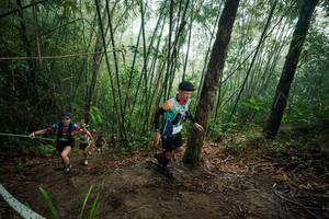 BIB: 
                            <button type="button" onclick="openModal(26524135)" class="btn btn-primary btn-sm float-right btn-popup" data-toggle="modal" data-target=".modal-high-quality">
                        <i class="fas fa-shopping-cart"></i> Add to Cart
                    </button>
                                            <button type="button" onclick="isThisMe(26524135, true)" class="btn btn-success btn-sm float-right btn-popup btn-isme hidden" data-toggle="tooltip" data-placement="bottom" title="นี่คือรูปของคุณใช่ไหม คลิกที่นี่เพื่อเอาเข้าอัลบั้ม">
                        <i class="fas fa-plus"></i> Add to album
                    </button>
                    <button type="button" onclick="isThisMe(26524135, false)" class="btn btn-warning btn-sm float-right btn-popup btn-isnotme hidden">
                        <i class="fas fa-ban"></i> Remove from album
                    </button>