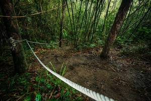 BIB: 
                            <button type="button" onclick="openModal(26523781)" class="btn btn-primary btn-sm float-right btn-popup" data-toggle="modal" data-target=".modal-high-quality">
                        <i class="fas fa-shopping-cart"></i> Add to Cart
                    </button>
                                            <button type="button" onclick="isThisMe(26523781, true)" class="btn btn-success btn-sm float-right btn-popup btn-isme hidden" data-toggle="tooltip" data-placement="bottom" title="นี่คือรูปของคุณใช่ไหม คลิกที่นี่เพื่อเอาเข้าอัลบั้ม">
                        <i class="fas fa-plus"></i> Add to album
                    </button>
                    <button type="button" onclick="isThisMe(26523781, false)" class="btn btn-warning btn-sm float-right btn-popup btn-isnotme hidden">
                        <i class="fas fa-ban"></i> Remove from album
                    </button>