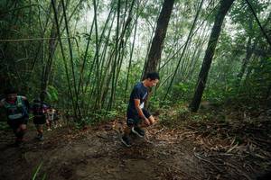 BIB: 
                            <button type="button" onclick="openModal(26524126)" class="btn btn-primary btn-sm float-right btn-popup" data-toggle="modal" data-target=".modal-high-quality">
                        <i class="fas fa-shopping-cart"></i> Add to Cart
                    </button>
                                            <button type="button" onclick="isThisMe(26524126, true)" class="btn btn-success btn-sm float-right btn-popup btn-isme hidden" data-toggle="tooltip" data-placement="bottom" title="นี่คือรูปของคุณใช่ไหม คลิกที่นี่เพื่อเอาเข้าอัลบั้ม">
                        <i class="fas fa-plus"></i> Add to album
                    </button>
                    <button type="button" onclick="isThisMe(26524126, false)" class="btn btn-warning btn-sm float-right btn-popup btn-isnotme hidden">
                        <i class="fas fa-ban"></i> Remove from album
                    </button>