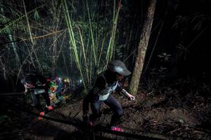 BIB: 
                            <button type="button" onclick="openModal(26517622)" class="btn btn-primary btn-sm float-right btn-popup" data-toggle="modal" data-target=".modal-high-quality">
                        <i class="fas fa-shopping-cart"></i> Add to Cart
                    </button>
                                            <button type="button" onclick="isThisMe(26517622, true)" class="btn btn-success btn-sm float-right btn-popup btn-isme hidden" data-toggle="tooltip" data-placement="bottom" title="นี่คือรูปของคุณใช่ไหม คลิกที่นี่เพื่อเอาเข้าอัลบั้ม">
                        <i class="fas fa-plus"></i> Add to album
                    </button>
                    <button type="button" onclick="isThisMe(26517622, false)" class="btn btn-warning btn-sm float-right btn-popup btn-isnotme hidden">
                        <i class="fas fa-ban"></i> Remove from album
                    </button>