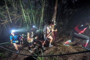 BIB: 
                            <button type="button" onclick="openModal(26519284)" class="btn btn-primary btn-sm float-right btn-popup" data-toggle="modal" data-target=".modal-high-quality">
                        <i class="fas fa-shopping-cart"></i> Add to Cart
                    </button>
                                            <button type="button" onclick="isThisMe(26519284, true)" class="btn btn-success btn-sm float-right btn-popup btn-isme hidden" data-toggle="tooltip" data-placement="bottom" title="นี่คือรูปของคุณใช่ไหม คลิกที่นี่เพื่อเอาเข้าอัลบั้ม">
                        <i class="fas fa-plus"></i> Add to album
                    </button>
                    <button type="button" onclick="isThisMe(26519284, false)" class="btn btn-warning btn-sm float-right btn-popup btn-isnotme hidden">
                        <i class="fas fa-ban"></i> Remove from album
                    </button>