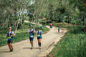 BIB: 
                            <button type="button" onclick="openModal(26485123)" class="btn btn-primary btn-sm float-right btn-popup" data-toggle="modal" data-target=".modal-high-quality">
                        <i class="fas fa-shopping-cart"></i> Add to Cart
                    </button>
                                            <button type="button" onclick="isThisMe(26485123, true)" class="btn btn-success btn-sm float-right btn-popup btn-isme hidden" data-toggle="tooltip" data-placement="bottom" title="นี่คือรูปของคุณใช่ไหม คลิกที่นี่เพื่อเอาเข้าอัลบั้ม">
                        <i class="fas fa-plus"></i> Add to album
                    </button>
                    <button type="button" onclick="isThisMe(26485123, false)" class="btn btn-warning btn-sm float-right btn-popup btn-isnotme hidden">
                        <i class="fas fa-ban"></i> Remove from album
                    </button>