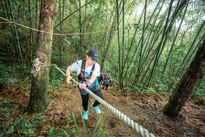 BIB: 
                            <button type="button" onclick="openModal(26509116)" class="btn btn-primary btn-sm float-right btn-popup" data-toggle="modal" data-target=".modal-high-quality">
                        <i class="fas fa-shopping-cart"></i> Add to Cart
                    </button>
                                            <button type="button" onclick="isThisMe(26509116, true)" class="btn btn-success btn-sm float-right btn-popup btn-isme hidden" data-toggle="tooltip" data-placement="bottom" title="นี่คือรูปของคุณใช่ไหม คลิกที่นี่เพื่อเอาเข้าอัลบั้ม">
                        <i class="fas fa-plus"></i> Add to album
                    </button>
                    <button type="button" onclick="isThisMe(26509116, false)" class="btn btn-warning btn-sm float-right btn-popup btn-isnotme hidden">
                        <i class="fas fa-ban"></i> Remove from album
                    </button>