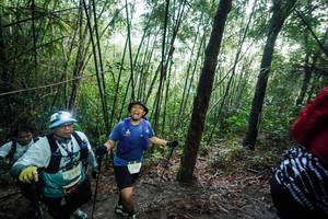 BIB: 
                            <button type="button" onclick="openModal(26523518)" class="btn btn-primary btn-sm float-right btn-popup" data-toggle="modal" data-target=".modal-high-quality">
                        <i class="fas fa-shopping-cart"></i> Add to Cart
                    </button>
                                            <button type="button" onclick="isThisMe(26523518, true)" class="btn btn-success btn-sm float-right btn-popup btn-isme hidden" data-toggle="tooltip" data-placement="bottom" title="นี่คือรูปของคุณใช่ไหม คลิกที่นี่เพื่อเอาเข้าอัลบั้ม">
                        <i class="fas fa-plus"></i> Add to album
                    </button>
                    <button type="button" onclick="isThisMe(26523518, false)" class="btn btn-warning btn-sm float-right btn-popup btn-isnotme hidden">
                        <i class="fas fa-ban"></i> Remove from album
                    </button>