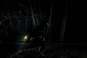 BIB: 
                            <button type="button" onclick="openModal(26516534)" class="btn btn-primary btn-sm float-right btn-popup" data-toggle="modal" data-target=".modal-high-quality">
                        <i class="fas fa-shopping-cart"></i> Add to Cart
                    </button>
                                            <button type="button" onclick="isThisMe(26516534, true)" class="btn btn-success btn-sm float-right btn-popup btn-isme hidden" data-toggle="tooltip" data-placement="bottom" title="นี่คือรูปของคุณใช่ไหม คลิกที่นี่เพื่อเอาเข้าอัลบั้ม">
                        <i class="fas fa-plus"></i> Add to album
                    </button>
                    <button type="button" onclick="isThisMe(26516534, false)" class="btn btn-warning btn-sm float-right btn-popup btn-isnotme hidden">
                        <i class="fas fa-ban"></i> Remove from album
                    </button>