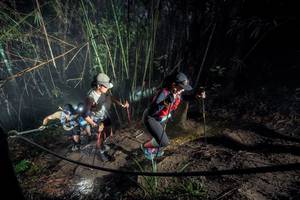 BIB: 
                            <button type="button" onclick="openModal(26519251)" class="btn btn-primary btn-sm float-right btn-popup" data-toggle="modal" data-target=".modal-high-quality">
                        <i class="fas fa-shopping-cart"></i> Add to Cart
                    </button>
                                            <button type="button" onclick="isThisMe(26519251, true)" class="btn btn-success btn-sm float-right btn-popup btn-isme hidden" data-toggle="tooltip" data-placement="bottom" title="นี่คือรูปของคุณใช่ไหม คลิกที่นี่เพื่อเอาเข้าอัลบั้ม">
                        <i class="fas fa-plus"></i> Add to album
                    </button>
                    <button type="button" onclick="isThisMe(26519251, false)" class="btn btn-warning btn-sm float-right btn-popup btn-isnotme hidden">
                        <i class="fas fa-ban"></i> Remove from album
                    </button>