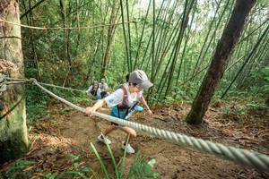 BIB: 
                            <button type="button" onclick="openModal(26509193)" class="btn btn-primary btn-sm float-right btn-popup" data-toggle="modal" data-target=".modal-high-quality">
                        <i class="fas fa-shopping-cart"></i> Add to Cart
                    </button>
                                            <button type="button" onclick="isThisMe(26509193, true)" class="btn btn-success btn-sm float-right btn-popup btn-isme hidden" data-toggle="tooltip" data-placement="bottom" title="นี่คือรูปของคุณใช่ไหม คลิกที่นี่เพื่อเอาเข้าอัลบั้ม">
                        <i class="fas fa-plus"></i> Add to album
                    </button>
                    <button type="button" onclick="isThisMe(26509193, false)" class="btn btn-warning btn-sm float-right btn-popup btn-isnotme hidden">
                        <i class="fas fa-ban"></i> Remove from album
                    </button>