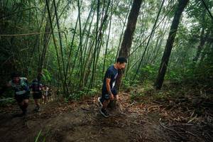 BIB: 
                            <button type="button" onclick="openModal(26524125)" class="btn btn-primary btn-sm float-right btn-popup" data-toggle="modal" data-target=".modal-high-quality">
                        <i class="fas fa-shopping-cart"></i> Add to Cart
                    </button>
                                            <button type="button" onclick="isThisMe(26524125, true)" class="btn btn-success btn-sm float-right btn-popup btn-isme hidden" data-toggle="tooltip" data-placement="bottom" title="นี่คือรูปของคุณใช่ไหม คลิกที่นี่เพื่อเอาเข้าอัลบั้ม">
                        <i class="fas fa-plus"></i> Add to album
                    </button>
                    <button type="button" onclick="isThisMe(26524125, false)" class="btn btn-warning btn-sm float-right btn-popup btn-isnotme hidden">
                        <i class="fas fa-ban"></i> Remove from album
                    </button>