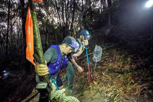 BIB: 
                            <button type="button" onclick="openModal(26519796)" class="btn btn-primary btn-sm float-right btn-popup" data-toggle="modal" data-target=".modal-high-quality">
                        <i class="fas fa-shopping-cart"></i> Add to Cart
                    </button>
                                            <button type="button" onclick="isThisMe(26519796, true)" class="btn btn-success btn-sm float-right btn-popup btn-isme hidden" data-toggle="tooltip" data-placement="bottom" title="นี่คือรูปของคุณใช่ไหม คลิกที่นี่เพื่อเอาเข้าอัลบั้ม">
                        <i class="fas fa-plus"></i> Add to album
                    </button>
                    <button type="button" onclick="isThisMe(26519796, false)" class="btn btn-warning btn-sm float-right btn-popup btn-isnotme hidden">
                        <i class="fas fa-ban"></i> Remove from album
                    </button>