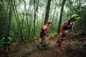 BIB: 
                            <button type="button" onclick="openModal(26524182)" class="btn btn-primary btn-sm float-right btn-popup" data-toggle="modal" data-target=".modal-high-quality">
                        <i class="fas fa-shopping-cart"></i> Add to Cart
                    </button>
                                            <button type="button" onclick="isThisMe(26524182, true)" class="btn btn-success btn-sm float-right btn-popup btn-isme hidden" data-toggle="tooltip" data-placement="bottom" title="นี่คือรูปของคุณใช่ไหม คลิกที่นี่เพื่อเอาเข้าอัลบั้ม">
                        <i class="fas fa-plus"></i> Add to album
                    </button>
                    <button type="button" onclick="isThisMe(26524182, false)" class="btn btn-warning btn-sm float-right btn-popup btn-isnotme hidden">
                        <i class="fas fa-ban"></i> Remove from album
                    </button>