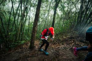 BIB: 
                            <button type="button" onclick="openModal(26524110)" class="btn btn-primary btn-sm float-right btn-popup" data-toggle="modal" data-target=".modal-high-quality">
                        <i class="fas fa-shopping-cart"></i> Add to Cart
                    </button>
                                            <button type="button" onclick="isThisMe(26524110, true)" class="btn btn-success btn-sm float-right btn-popup btn-isme hidden" data-toggle="tooltip" data-placement="bottom" title="นี่คือรูปของคุณใช่ไหม คลิกที่นี่เพื่อเอาเข้าอัลบั้ม">
                        <i class="fas fa-plus"></i> Add to album
                    </button>
                    <button type="button" onclick="isThisMe(26524110, false)" class="btn btn-warning btn-sm float-right btn-popup btn-isnotme hidden">
                        <i class="fas fa-ban"></i> Remove from album
                    </button>