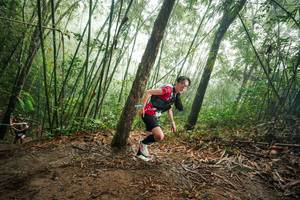 BIB: 
                            <button type="button" onclick="openModal(26523906)" class="btn btn-primary btn-sm float-right btn-popup" data-toggle="modal" data-target=".modal-high-quality">
                        <i class="fas fa-shopping-cart"></i> Add to Cart
                    </button>
                                            <button type="button" onclick="isThisMe(26523906, true)" class="btn btn-success btn-sm float-right btn-popup btn-isme hidden" data-toggle="tooltip" data-placement="bottom" title="นี่คือรูปของคุณใช่ไหม คลิกที่นี่เพื่อเอาเข้าอัลบั้ม">
                        <i class="fas fa-plus"></i> Add to album
                    </button>
                    <button type="button" onclick="isThisMe(26523906, false)" class="btn btn-warning btn-sm float-right btn-popup btn-isnotme hidden">
                        <i class="fas fa-ban"></i> Remove from album
                    </button>