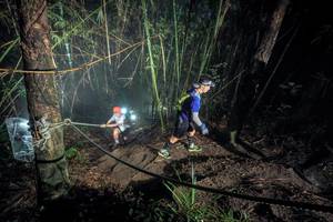 BIB: 
                            <button type="button" onclick="openModal(26518219)" class="btn btn-primary btn-sm float-right btn-popup" data-toggle="modal" data-target=".modal-high-quality">
                        <i class="fas fa-shopping-cart"></i> Add to Cart
                    </button>
                                            <button type="button" onclick="isThisMe(26518219, true)" class="btn btn-success btn-sm float-right btn-popup btn-isme hidden" data-toggle="tooltip" data-placement="bottom" title="นี่คือรูปของคุณใช่ไหม คลิกที่นี่เพื่อเอาเข้าอัลบั้ม">
                        <i class="fas fa-plus"></i> Add to album
                    </button>
                    <button type="button" onclick="isThisMe(26518219, false)" class="btn btn-warning btn-sm float-right btn-popup btn-isnotme hidden">
                        <i class="fas fa-ban"></i> Remove from album
                    </button>