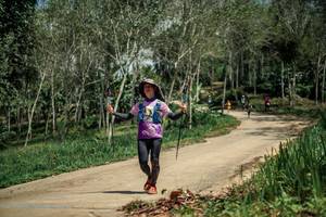 BIB: 
                            <button type="button" onclick="openModal(26483604)" class="btn btn-primary btn-sm float-right btn-popup" data-toggle="modal" data-target=".modal-high-quality">
                        <i class="fas fa-shopping-cart"></i> Add to Cart
                    </button>
                                            <button type="button" onclick="isThisMe(26483604, true)" class="btn btn-success btn-sm float-right btn-popup btn-isme hidden" data-toggle="tooltip" data-placement="bottom" title="นี่คือรูปของคุณใช่ไหม คลิกที่นี่เพื่อเอาเข้าอัลบั้ม">
                        <i class="fas fa-plus"></i> Add to album
                    </button>
                    <button type="button" onclick="isThisMe(26483604, false)" class="btn btn-warning btn-sm float-right btn-popup btn-isnotme hidden">
                        <i class="fas fa-ban"></i> Remove from album
                    </button>