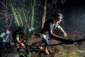 BIB: 
                            <button type="button" onclick="openModal(26519542)" class="btn btn-primary btn-sm float-right btn-popup" data-toggle="modal" data-target=".modal-high-quality">
                        <i class="fas fa-shopping-cart"></i> Add to Cart
                    </button>
                                            <button type="button" onclick="isThisMe(26519542, true)" class="btn btn-success btn-sm float-right btn-popup btn-isme hidden" data-toggle="tooltip" data-placement="bottom" title="นี่คือรูปของคุณใช่ไหม คลิกที่นี่เพื่อเอาเข้าอัลบั้ม">
                        <i class="fas fa-plus"></i> Add to album
                    </button>
                    <button type="button" onclick="isThisMe(26519542, false)" class="btn btn-warning btn-sm float-right btn-popup btn-isnotme hidden">
                        <i class="fas fa-ban"></i> Remove from album
                    </button>