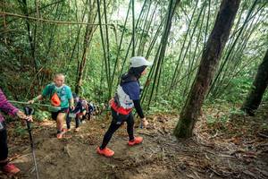 BIB: 
                            <button type="button" onclick="openModal(26507508)" class="btn btn-primary btn-sm float-right btn-popup" data-toggle="modal" data-target=".modal-high-quality">
                        <i class="fas fa-shopping-cart"></i> Add to Cart
                    </button>
                                            <button type="button" onclick="isThisMe(26507508, true)" class="btn btn-success btn-sm float-right btn-popup btn-isme hidden" data-toggle="tooltip" data-placement="bottom" title="นี่คือรูปของคุณใช่ไหม คลิกที่นี่เพื่อเอาเข้าอัลบั้ม">
                        <i class="fas fa-plus"></i> Add to album
                    </button>
                    <button type="button" onclick="isThisMe(26507508, false)" class="btn btn-warning btn-sm float-right btn-popup btn-isnotme hidden">
                        <i class="fas fa-ban"></i> Remove from album
                    </button>