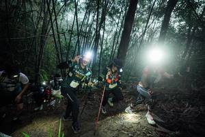 BIB: 
                            <button type="button" onclick="openModal(26521320)" class="btn btn-primary btn-sm float-right btn-popup" data-toggle="modal" data-target=".modal-high-quality">
                        <i class="fas fa-shopping-cart"></i> Add to Cart
                    </button>
                                            <button type="button" onclick="isThisMe(26521320, true)" class="btn btn-success btn-sm float-right btn-popup btn-isme hidden" data-toggle="tooltip" data-placement="bottom" title="นี่คือรูปของคุณใช่ไหม คลิกที่นี่เพื่อเอาเข้าอัลบั้ม">
                        <i class="fas fa-plus"></i> Add to album
                    </button>
                    <button type="button" onclick="isThisMe(26521320, false)" class="btn btn-warning btn-sm float-right btn-popup btn-isnotme hidden">
                        <i class="fas fa-ban"></i> Remove from album
                    </button>