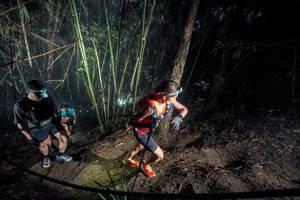 BIB: 
                            <button type="button" onclick="openModal(26519157)" class="btn btn-primary btn-sm float-right btn-popup" data-toggle="modal" data-target=".modal-high-quality">
                        <i class="fas fa-shopping-cart"></i> Add to Cart
                    </button>
                                            <button type="button" onclick="isThisMe(26519157, true)" class="btn btn-success btn-sm float-right btn-popup btn-isme hidden" data-toggle="tooltip" data-placement="bottom" title="นี่คือรูปของคุณใช่ไหม คลิกที่นี่เพื่อเอาเข้าอัลบั้ม">
                        <i class="fas fa-plus"></i> Add to album
                    </button>
                    <button type="button" onclick="isThisMe(26519157, false)" class="btn btn-warning btn-sm float-right btn-popup btn-isnotme hidden">
                        <i class="fas fa-ban"></i> Remove from album
                    </button>