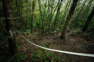 BIB: 
                            <button type="button" onclick="openModal(26523779)" class="btn btn-primary btn-sm float-right btn-popup" data-toggle="modal" data-target=".modal-high-quality">
                        <i class="fas fa-shopping-cart"></i> Add to Cart
                    </button>
                                            <button type="button" onclick="isThisMe(26523779, true)" class="btn btn-success btn-sm float-right btn-popup btn-isme hidden" data-toggle="tooltip" data-placement="bottom" title="นี่คือรูปของคุณใช่ไหม คลิกที่นี่เพื่อเอาเข้าอัลบั้ม">
                        <i class="fas fa-plus"></i> Add to album
                    </button>
                    <button type="button" onclick="isThisMe(26523779, false)" class="btn btn-warning btn-sm float-right btn-popup btn-isnotme hidden">
                        <i class="fas fa-ban"></i> Remove from album
                    </button>