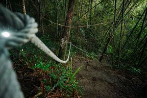 BIB: 
                            <button type="button" onclick="openModal(26523788)" class="btn btn-primary btn-sm float-right btn-popup" data-toggle="modal" data-target=".modal-high-quality">
                        <i class="fas fa-shopping-cart"></i> Add to Cart
                    </button>
                                            <button type="button" onclick="isThisMe(26523788, true)" class="btn btn-success btn-sm float-right btn-popup btn-isme hidden" data-toggle="tooltip" data-placement="bottom" title="นี่คือรูปของคุณใช่ไหม คลิกที่นี่เพื่อเอาเข้าอัลบั้ม">
                        <i class="fas fa-plus"></i> Add to album
                    </button>
                    <button type="button" onclick="isThisMe(26523788, false)" class="btn btn-warning btn-sm float-right btn-popup btn-isnotme hidden">
                        <i class="fas fa-ban"></i> Remove from album
                    </button>