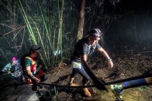 BIB: 
                            <button type="button" onclick="openModal(26519509)" class="btn btn-primary btn-sm float-right btn-popup" data-toggle="modal" data-target=".modal-high-quality">
                        <i class="fas fa-shopping-cart"></i> Add to Cart
                    </button>
                                            <button type="button" onclick="isThisMe(26519509, true)" class="btn btn-success btn-sm float-right btn-popup btn-isme hidden" data-toggle="tooltip" data-placement="bottom" title="นี่คือรูปของคุณใช่ไหม คลิกที่นี่เพื่อเอาเข้าอัลบั้ม">
                        <i class="fas fa-plus"></i> Add to album
                    </button>
                    <button type="button" onclick="isThisMe(26519509, false)" class="btn btn-warning btn-sm float-right btn-popup btn-isnotme hidden">
                        <i class="fas fa-ban"></i> Remove from album
                    </button>