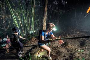 BIB: 
                            <button type="button" onclick="openModal(26519605)" class="btn btn-primary btn-sm float-right btn-popup" data-toggle="modal" data-target=".modal-high-quality">
                        <i class="fas fa-shopping-cart"></i> Add to Cart
                    </button>
                                            <button type="button" onclick="isThisMe(26519605, true)" class="btn btn-success btn-sm float-right btn-popup btn-isme hidden" data-toggle="tooltip" data-placement="bottom" title="นี่คือรูปของคุณใช่ไหม คลิกที่นี่เพื่อเอาเข้าอัลบั้ม">
                        <i class="fas fa-plus"></i> Add to album
                    </button>
                    <button type="button" onclick="isThisMe(26519605, false)" class="btn btn-warning btn-sm float-right btn-popup btn-isnotme hidden">
                        <i class="fas fa-ban"></i> Remove from album
                    </button>