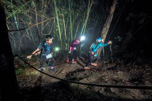 BIB: 
                            <button type="button" onclick="openModal(26518296)" class="btn btn-primary btn-sm float-right btn-popup" data-toggle="modal" data-target=".modal-high-quality">
                        <i class="fas fa-shopping-cart"></i> Add to Cart
                    </button>
                                            <button type="button" onclick="isThisMe(26518296, true)" class="btn btn-success btn-sm float-right btn-popup btn-isme hidden" data-toggle="tooltip" data-placement="bottom" title="นี่คือรูปของคุณใช่ไหม คลิกที่นี่เพื่อเอาเข้าอัลบั้ม">
                        <i class="fas fa-plus"></i> Add to album
                    </button>
                    <button type="button" onclick="isThisMe(26518296, false)" class="btn btn-warning btn-sm float-right btn-popup btn-isnotme hidden">
                        <i class="fas fa-ban"></i> Remove from album
                    </button>