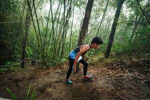 BIB: 
                            <button type="button" onclick="openModal(26523866)" class="btn btn-primary btn-sm float-right btn-popup" data-toggle="modal" data-target=".modal-high-quality">
                        <i class="fas fa-shopping-cart"></i> Add to Cart
                    </button>
                                            <button type="button" onclick="isThisMe(26523866, true)" class="btn btn-success btn-sm float-right btn-popup btn-isme hidden" data-toggle="tooltip" data-placement="bottom" title="นี่คือรูปของคุณใช่ไหม คลิกที่นี่เพื่อเอาเข้าอัลบั้ม">
                        <i class="fas fa-plus"></i> Add to album
                    </button>
                    <button type="button" onclick="isThisMe(26523866, false)" class="btn btn-warning btn-sm float-right btn-popup btn-isnotme hidden">
                        <i class="fas fa-ban"></i> Remove from album
                    </button>