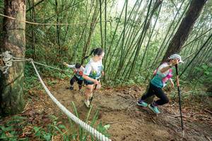 BIB: 
                            <button type="button" onclick="openModal(26509008)" class="btn btn-primary btn-sm float-right btn-popup" data-toggle="modal" data-target=".modal-high-quality">
                        <i class="fas fa-shopping-cart"></i> Add to Cart
                    </button>
                                            <button type="button" onclick="isThisMe(26509008, true)" class="btn btn-success btn-sm float-right btn-popup btn-isme hidden" data-toggle="tooltip" data-placement="bottom" title="นี่คือรูปของคุณใช่ไหม คลิกที่นี่เพื่อเอาเข้าอัลบั้ม">
                        <i class="fas fa-plus"></i> Add to album
                    </button>
                    <button type="button" onclick="isThisMe(26509008, false)" class="btn btn-warning btn-sm float-right btn-popup btn-isnotme hidden">
                        <i class="fas fa-ban"></i> Remove from album
                    </button>