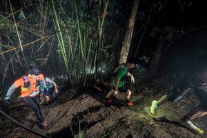 BIB: 
                            <button type="button" onclick="openModal(26518057)" class="btn btn-primary btn-sm float-right btn-popup" data-toggle="modal" data-target=".modal-high-quality">
                        <i class="fas fa-shopping-cart"></i> Add to Cart
                    </button>
                                            <button type="button" onclick="isThisMe(26518057, true)" class="btn btn-success btn-sm float-right btn-popup btn-isme hidden" data-toggle="tooltip" data-placement="bottom" title="นี่คือรูปของคุณใช่ไหม คลิกที่นี่เพื่อเอาเข้าอัลบั้ม">
                        <i class="fas fa-plus"></i> Add to album
                    </button>
                    <button type="button" onclick="isThisMe(26518057, false)" class="btn btn-warning btn-sm float-right btn-popup btn-isnotme hidden">
                        <i class="fas fa-ban"></i> Remove from album
                    </button>